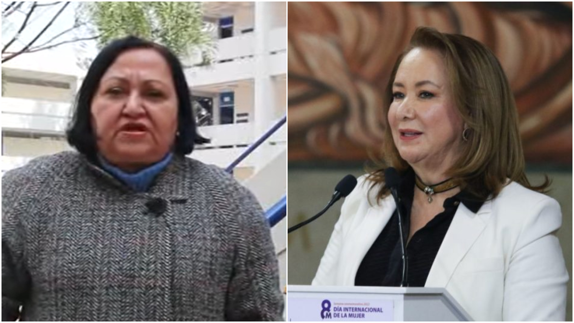 Ahora la asesora de tesis de Esquivel se echa la culpa