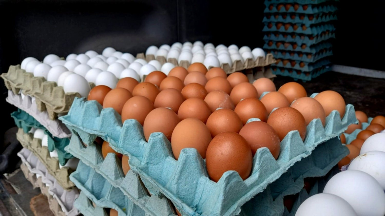 PRECIO DEL HUEVO SUBE CASI 34%, SEGÚN INEGI