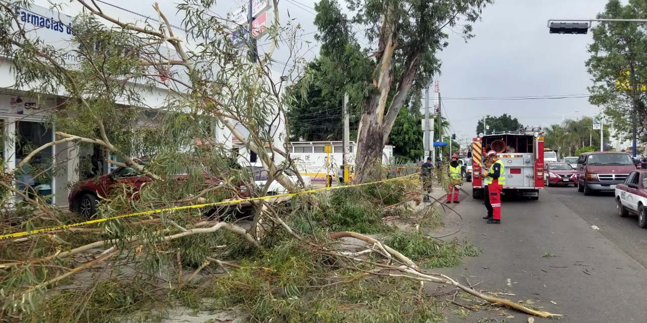 Bomberos atienden destrucción por fuertes vientos