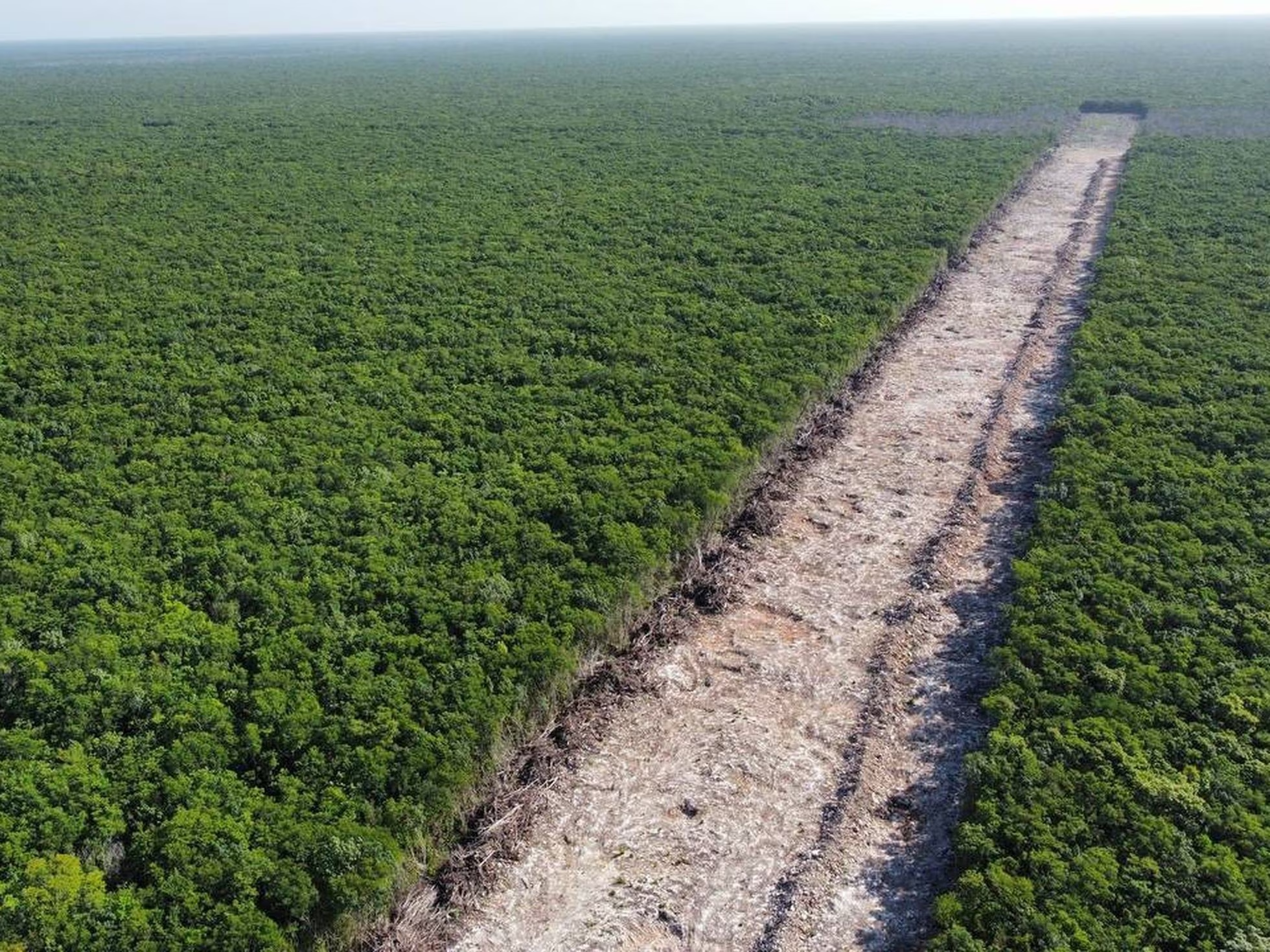 Detonarán Transístmico y Tren Maya la inversión T-MEC: Slim