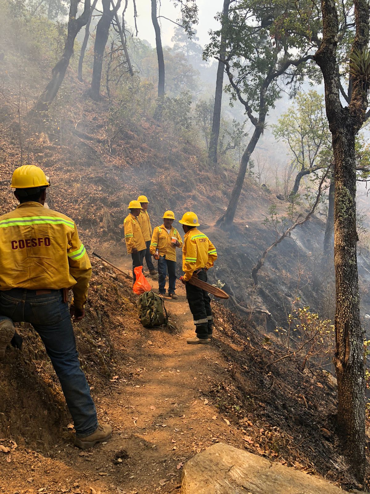 Controlado al 100% incendio en Etla: Coesfo