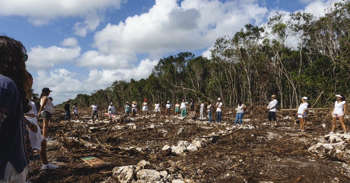 Denuncian despojo de tierras en la ruta del Tren Maya