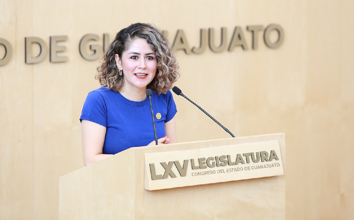 Proponen armonizar la ley 3 de 3 contra deudores alimentarios en Guanajuato