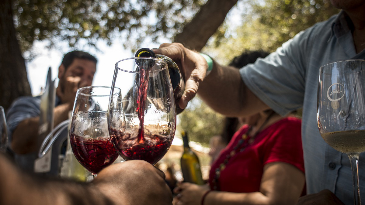 Inscriben al ‘peor vino del supermercado’ a concurso internacional… y gana el primer puesto