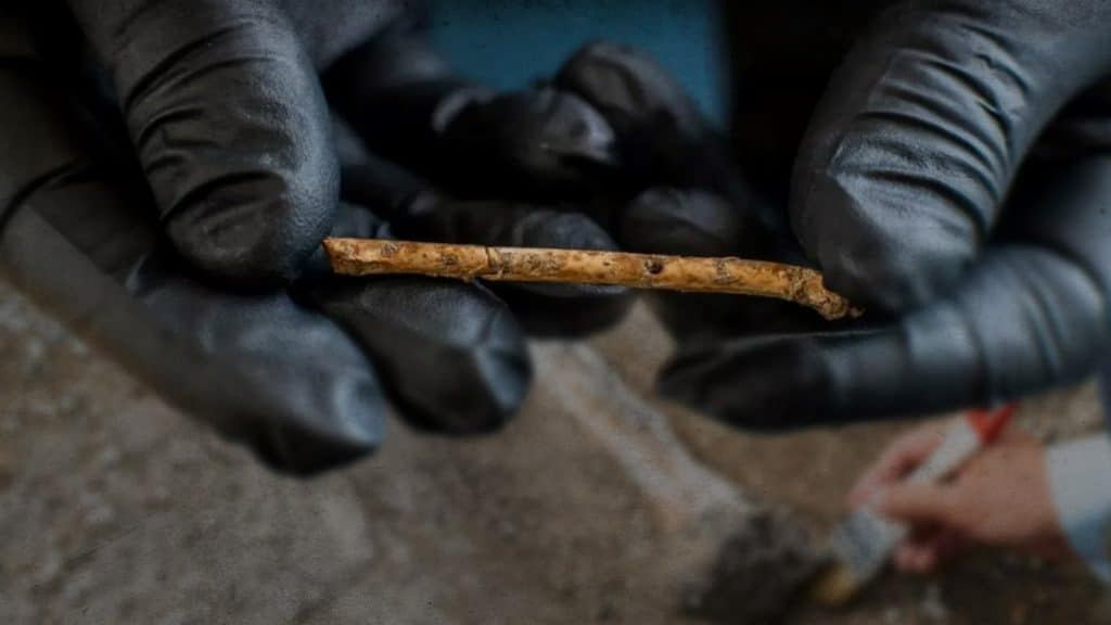 Arqueólogos descubren flautas prehistóricas de hueso de hace 12 mil años