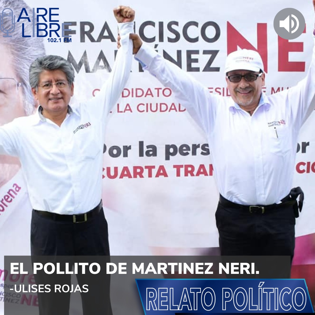 El pollito de Martinez Neri.