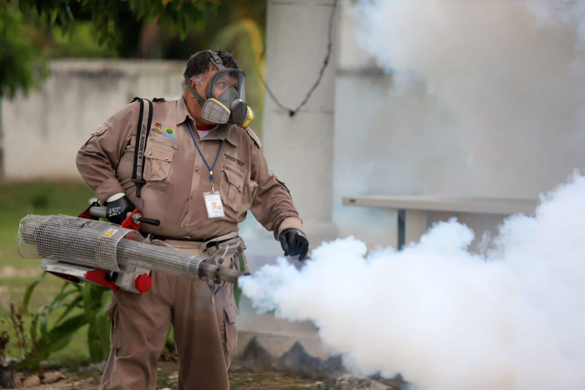 Oaxaca confirma 68 mil casos de dengue y acumula 6 muertos.
