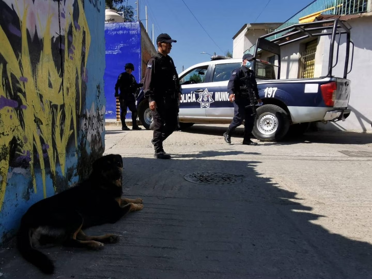 Abren investigación contra policías municipales de Oaxaca que atropellaron a un perro.