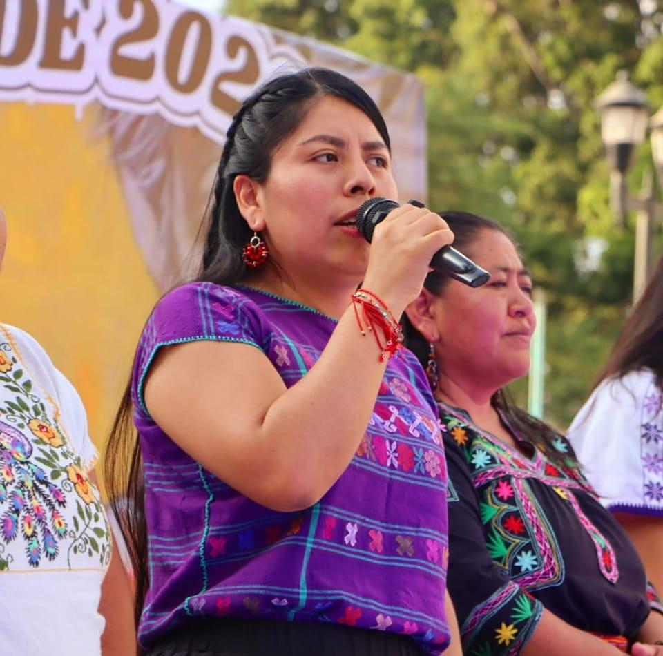 Rechaza Sección 22 del SNTE auditorías de la ASF; impedirán acceso a escuelas de Oaxaca.