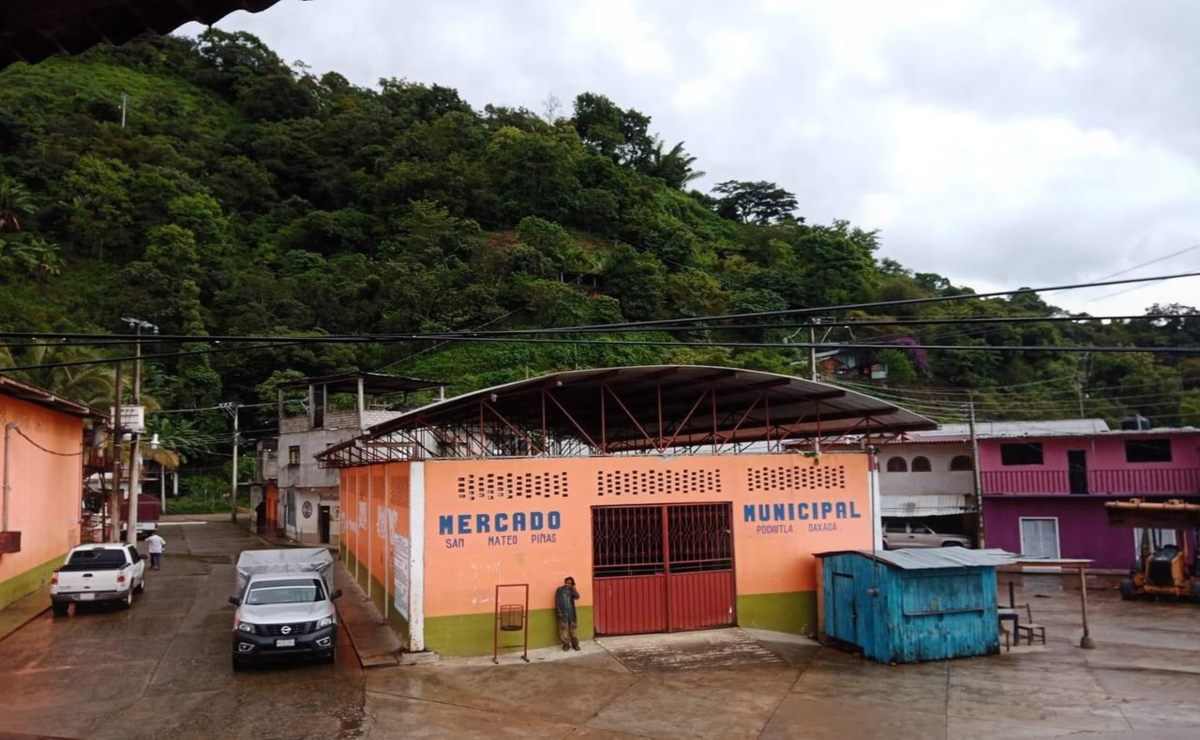 Roya y pobreza redujeron población en zona cafetalera de Oaxaca