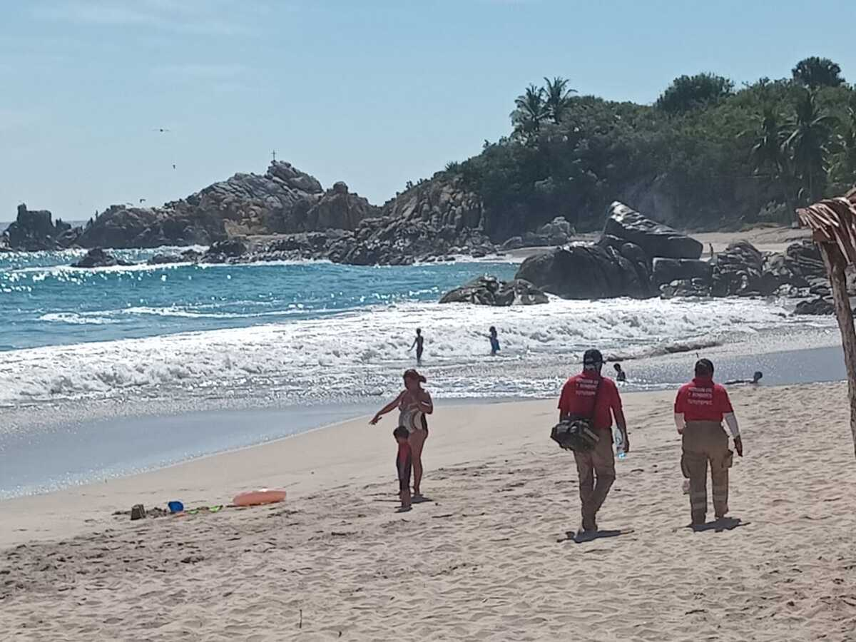 Avistan a tiburón ballena en playa de Villa de Tututepec, Oaxaca; no representa un riesgo: PC