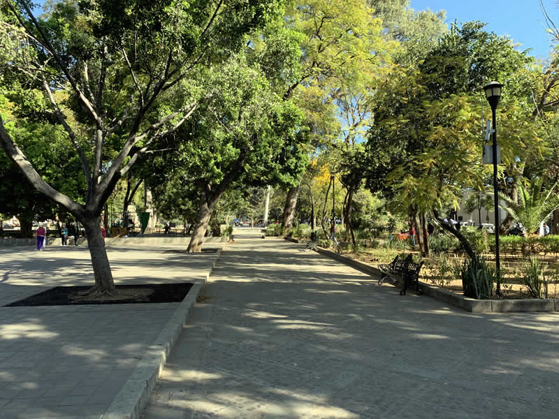 Ecologistas presentan queja ante INAH y FGR por destrucción a parque emblemático en Oaxaca