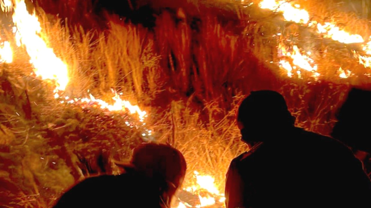 Investigan incendio provocado en inmediaciones de zona arqueológica Monte Albán