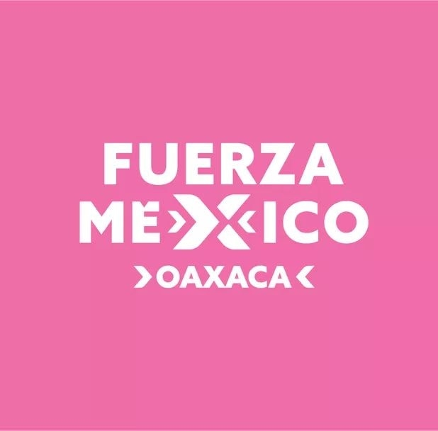 Dos partidos políticos en Oaxaca buscan detener las candidaturas de personas con discapacidad
