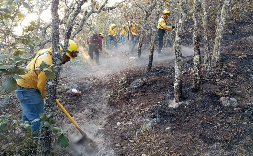 Oaxaca acumula 37 incendios forestales durante el 2024