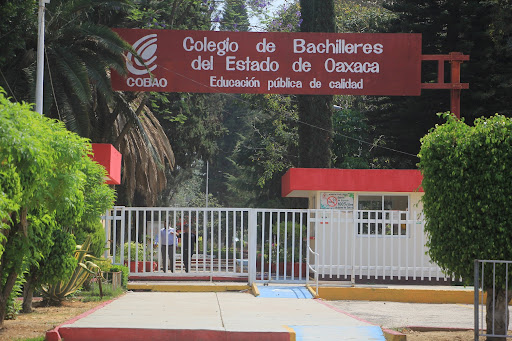 COBAO anuncia convocatoria para estudiantes de nuevo ingreso en ocho planteles de Oaxaca