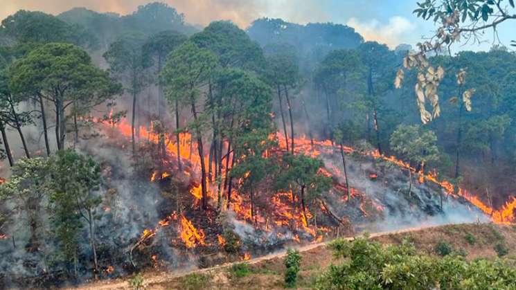 Familias triquis claman por auxilio por el incendio en la Mixteca