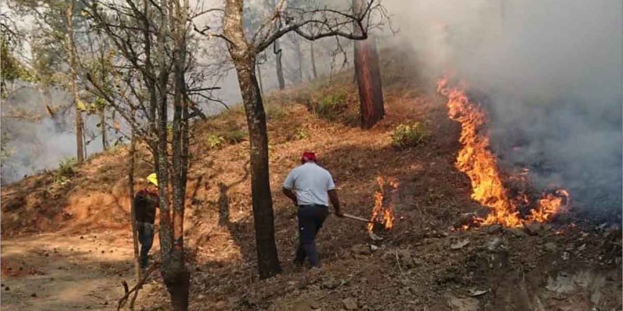 Comunidades de Los Chimalapas instalan su propio Centro de Mando para combatir incendios