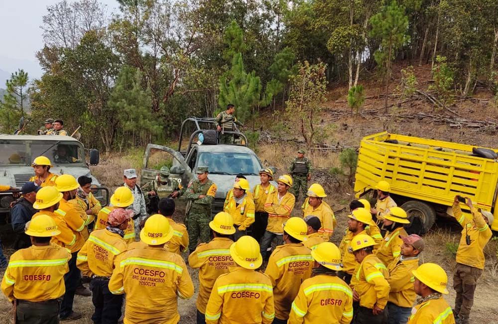 Incendio en la Selva de los Chimalapas consume miles de hectáreas; esfuerzos se duplican