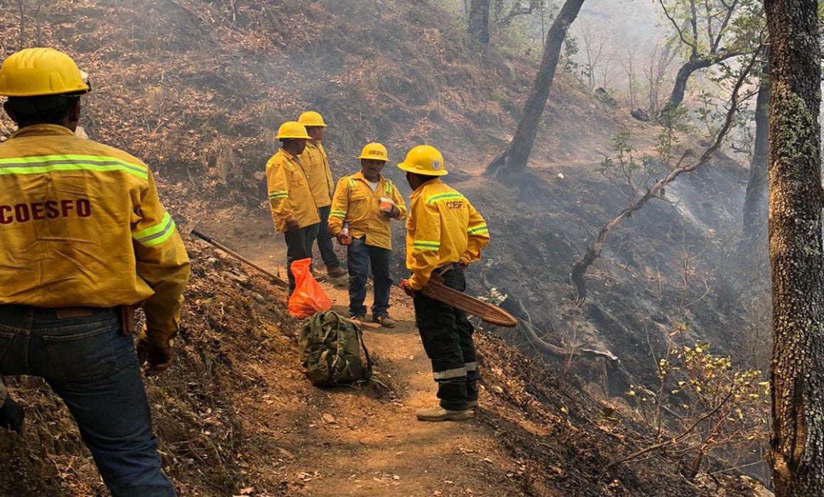 Persiste incendio en la Selva de las Chimalapas, Oaxaca, tras 11 días de combate