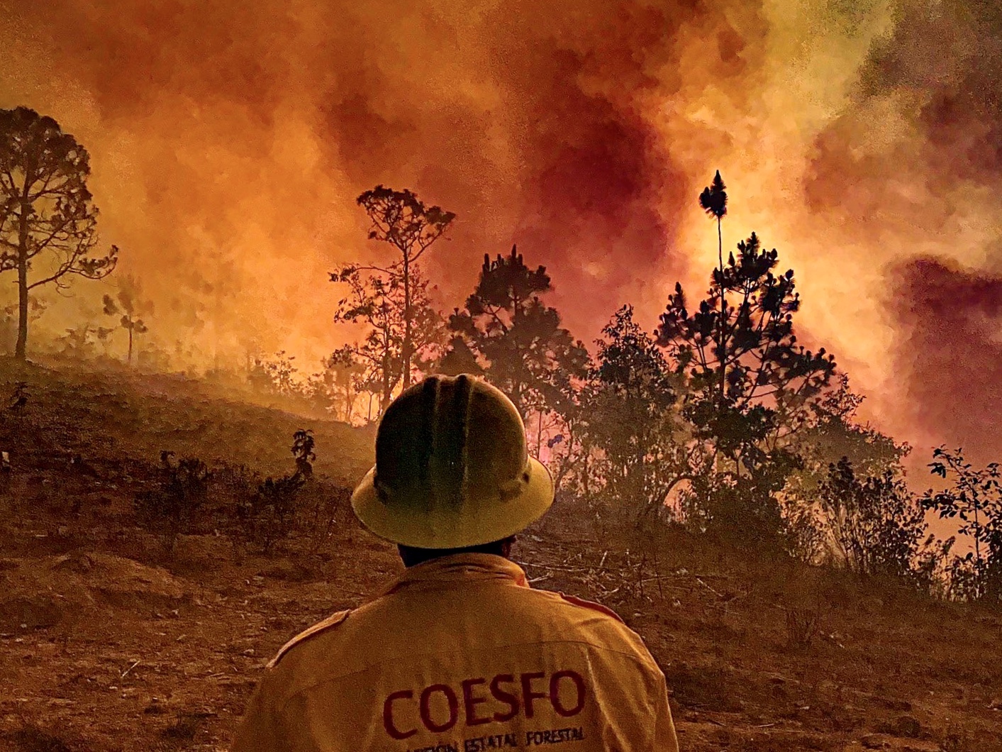 Con helicóptero reanudan el combate contra el incendio en Los Chimalapas