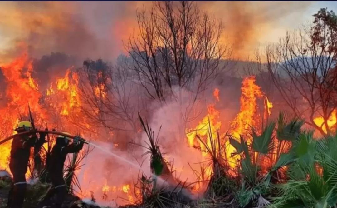 Pobladores de Tepuxtepec solicitan ayuda urgente al gobierno para combatir devastador incendio forestal
