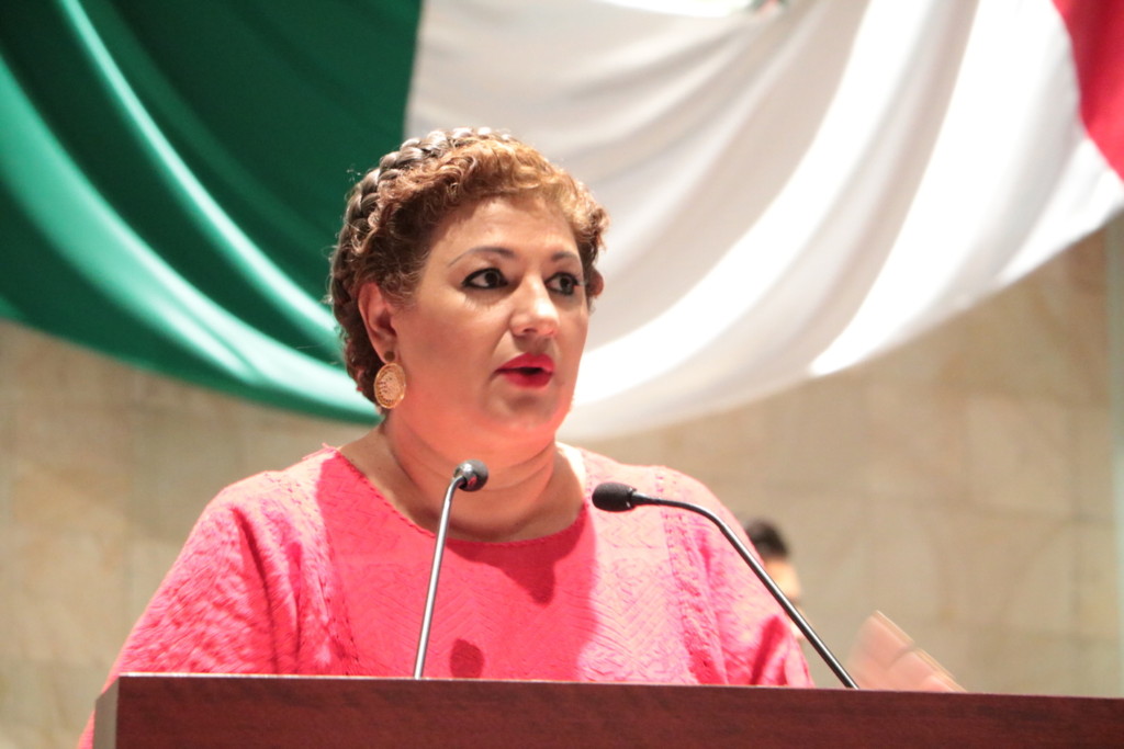Victoria Legal para Carmelita Ricárdez: Sala Superior Ordena su Restitución como Candidata al Senado por el PRI Oaxaca