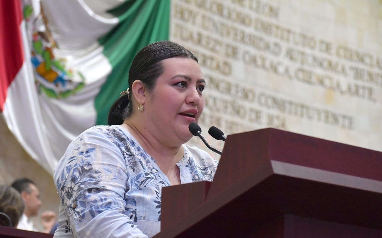 La Diputada Liz Hernández Matus de Oaxaca Insta a Proteger el Medio Ambiente para el Bienestar de la Infancia