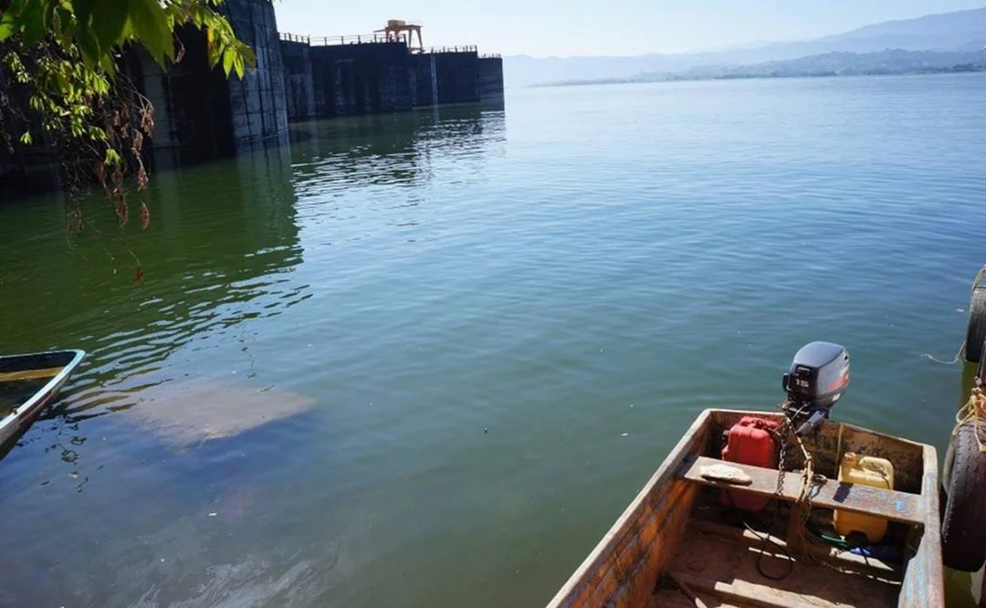 Mueren Tilapias en Presa de Oaxaca Debido a Altas Temperaturas