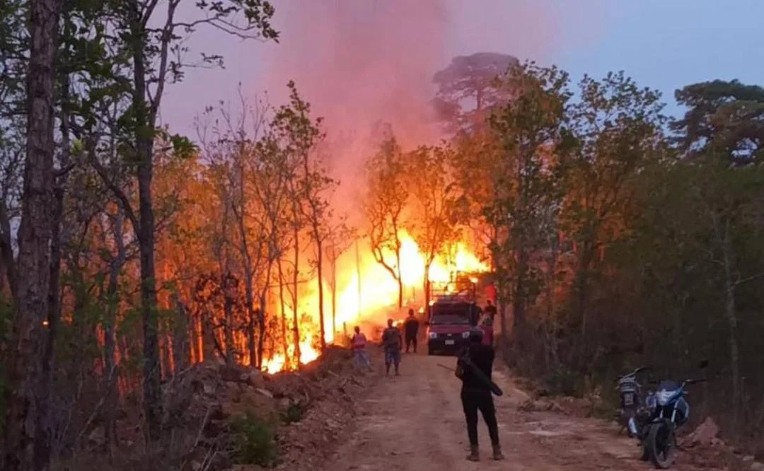 Incendio en Los Chimalapas amenaza selva virgen en Oaxaca
