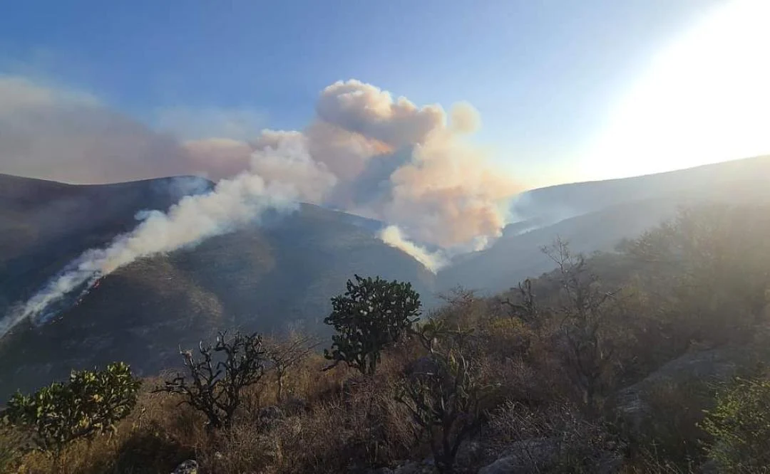 Pobladores de Tepelmeme Villa de Morelos piden ayuda urgente para sofocar incendio forestal