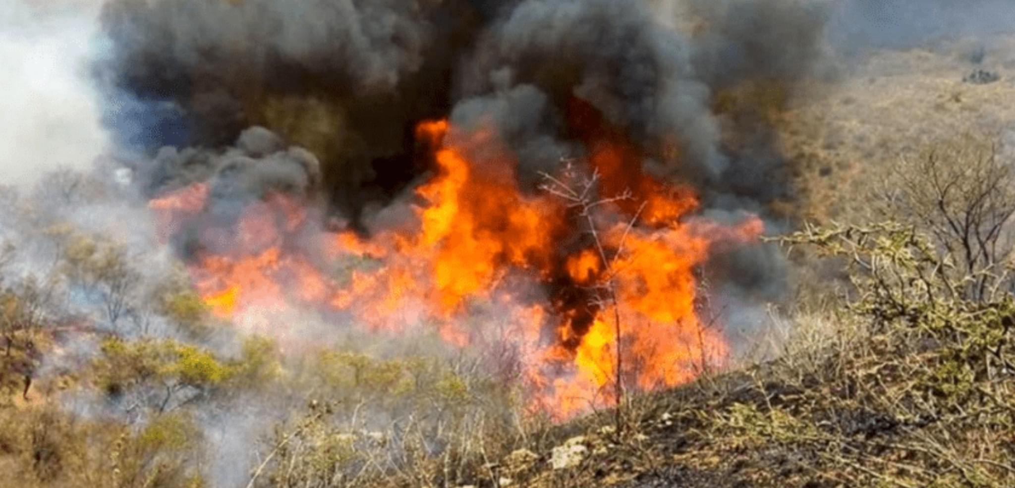 Comuneros se declaran “rendidos” ante incendios forestales en Santa María Chimalapas