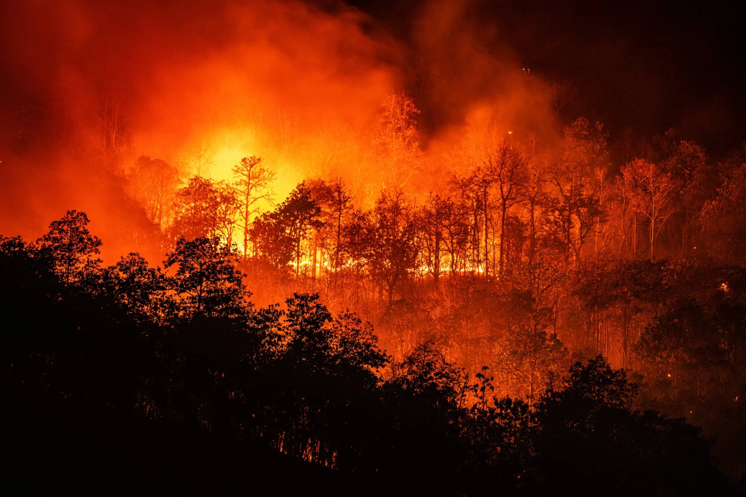 Congreso de Oaxaca Aprueba Reforma para Castigar con Prisión a Quienes Provoquen Incendios Forestales
