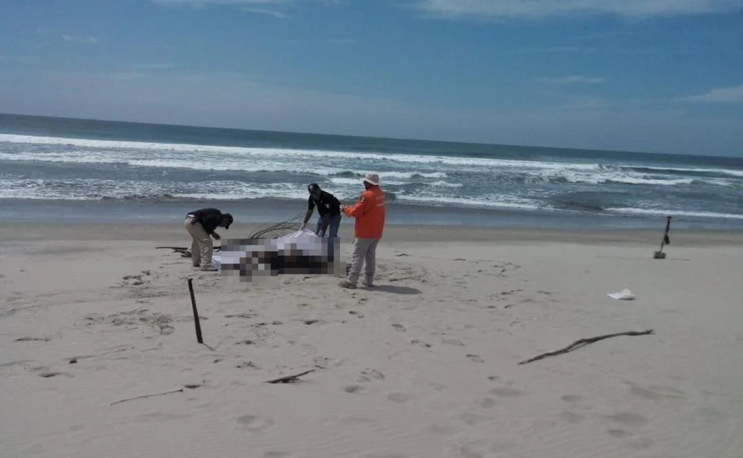 Aparecen 3 cuerpos en playas de Santa María del Mar; suman 5 naufragios de migrantes en Oaxaca