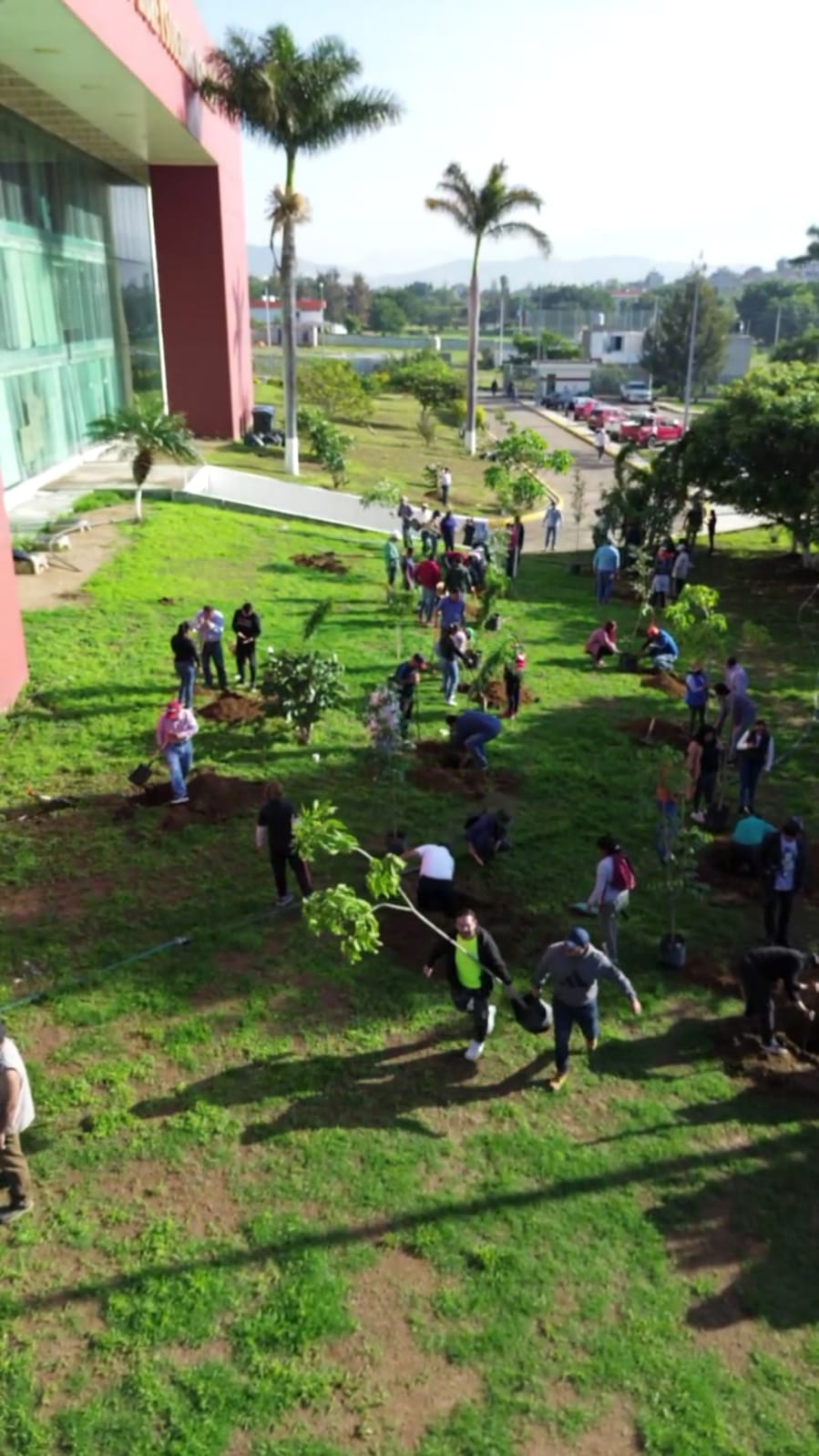 Emprenden Reforestación en el Congreso de Oaxaca