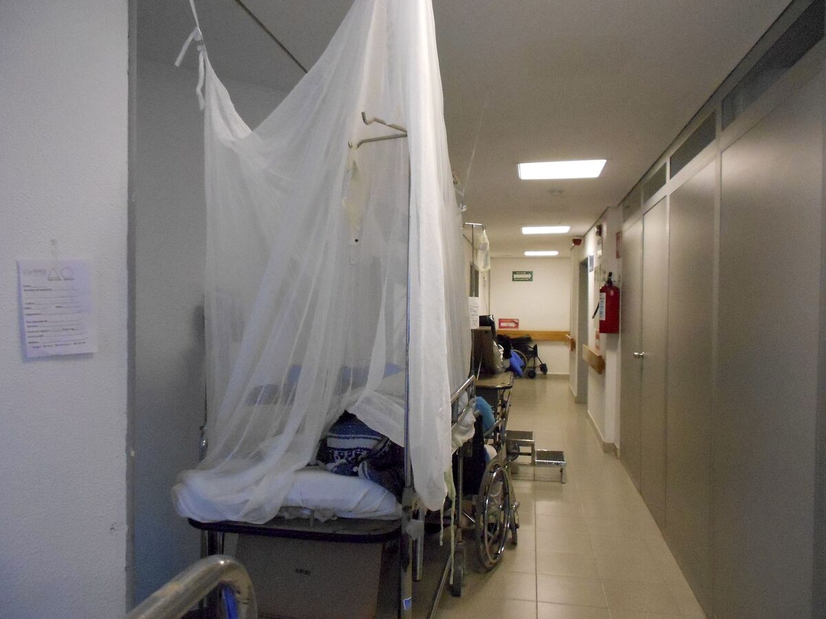 Muere menor en Oaxaca por dengue; autoridades llaman a reforzar medidas