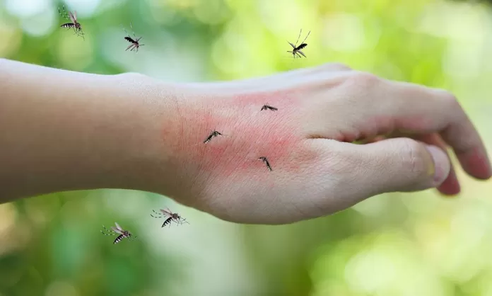 Reconoce SSO Subregistro de Casos de Dengue en Oaxaca