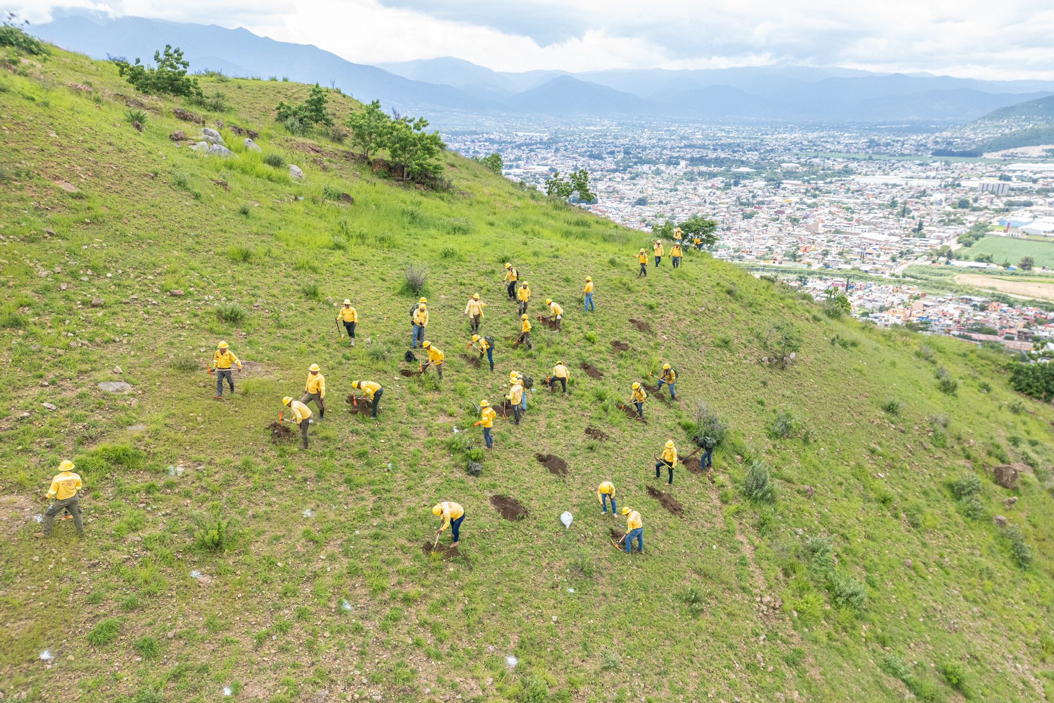 Invita Coesfo a Megatequio de Reforestación en San Pedro Ixtlahuaca y Xoxocotlán
