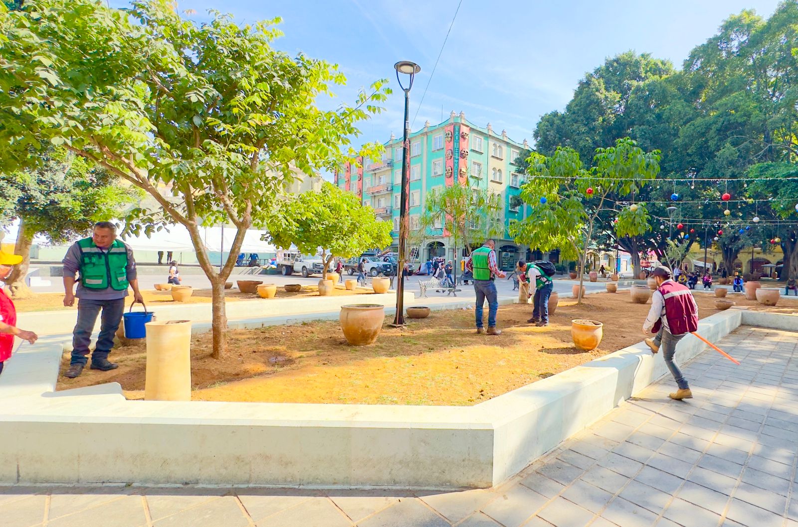 Aplica municipio cuarta fertilización del año en arbolado del Zócalo y Alameda