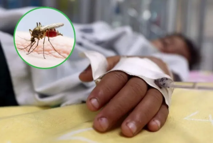 Oaxaca reporta ocho nuevas muertes por dengue: autoridades piden redoblar esfuerzos de prevención