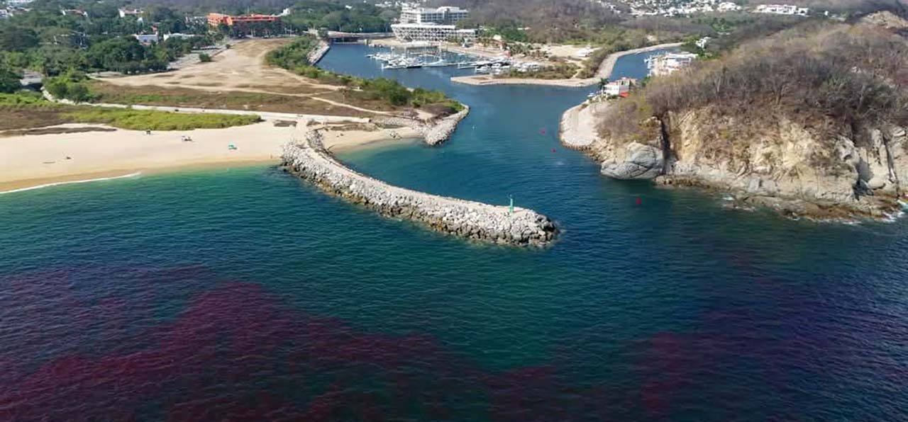 Inicia monitoreo en playa Chahué ante posible presencia de marea roja en Huatulco