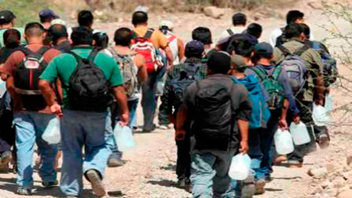 Denuncian engaños del INM a migrantes en su ruta hacia Oaxaca