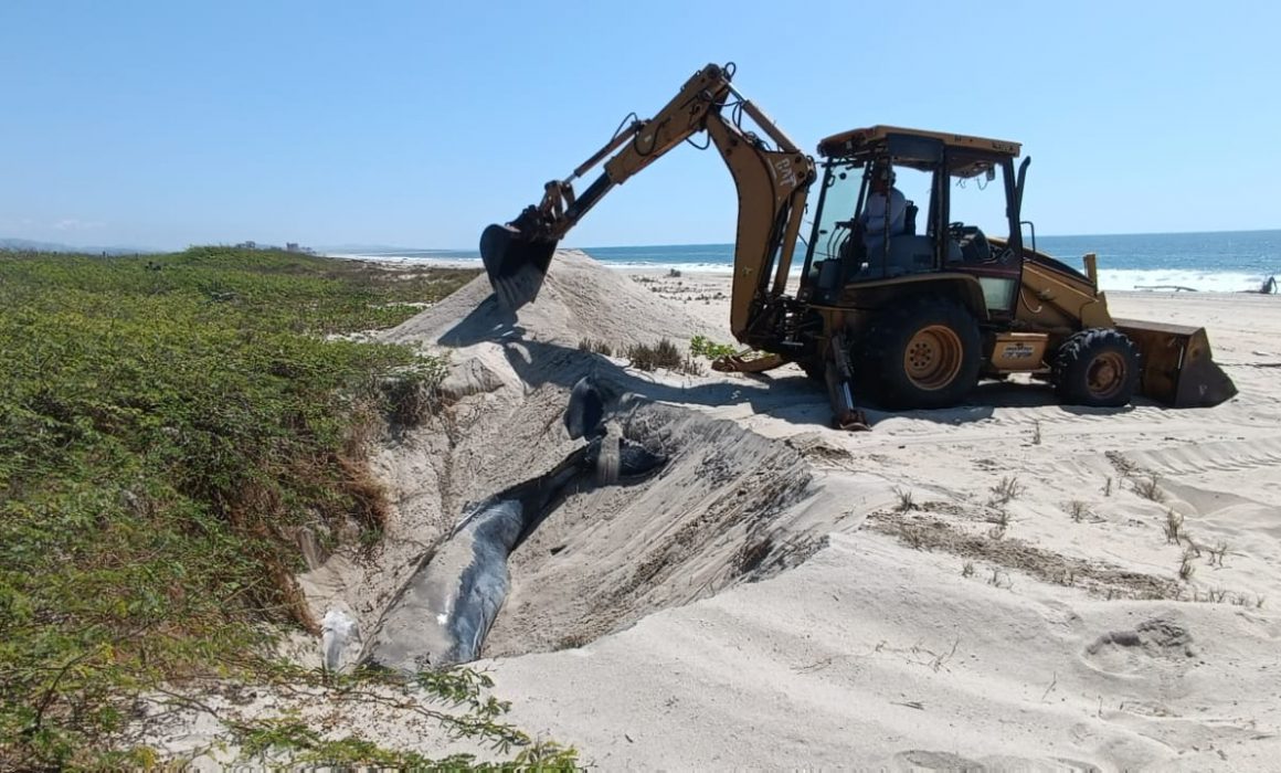 Varamiento de cría de ballena en Playa Palmarito de Oaxaca