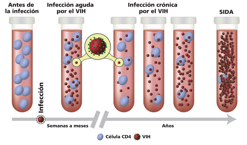 Coesida intensifica acciones de prevención del VIH en Oaxaca