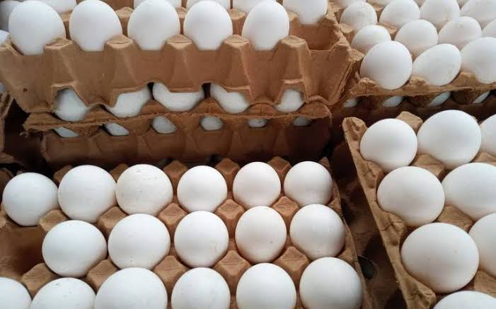 El Precio del Huevo en Oaxaca Aumenta un 18.38% en Quincena; Inflación Baja en la Región