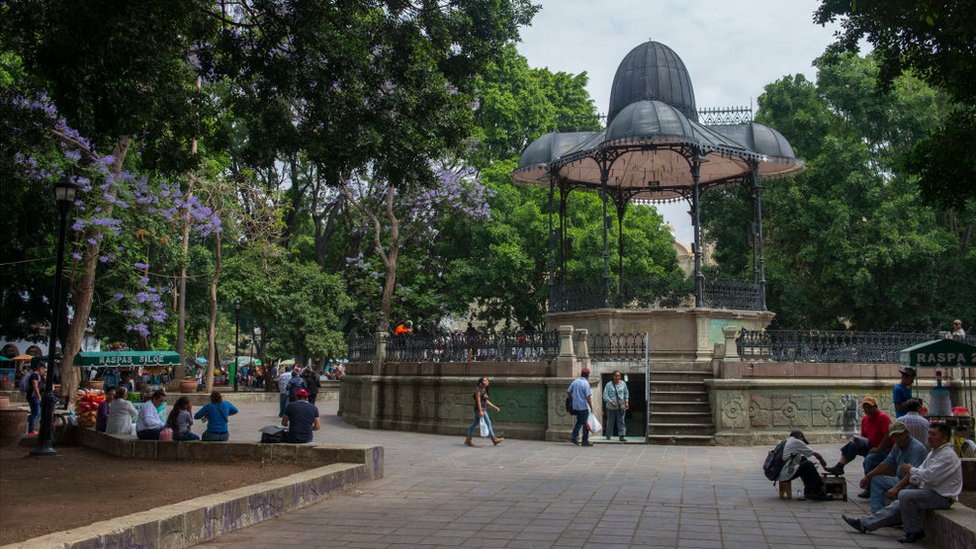 Oaxaca se prepara para el Segundo Congreso Mexicano de Arboricultura y Dasonomía Urbana
