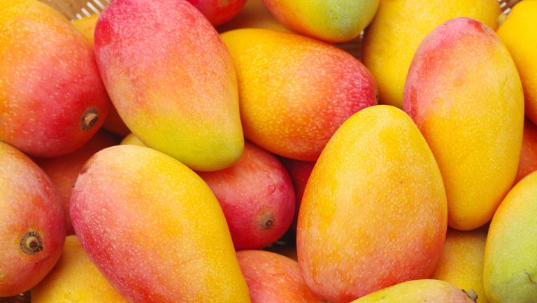 Preocupación entre los productores de mango del Istmo por aranceles impuestos por Estados Unidos