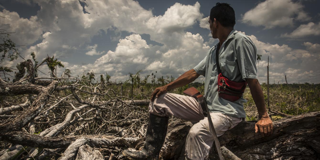 Oaxaca continúa siendo uno de los estados más peligrosos para los defensores del medio ambiente