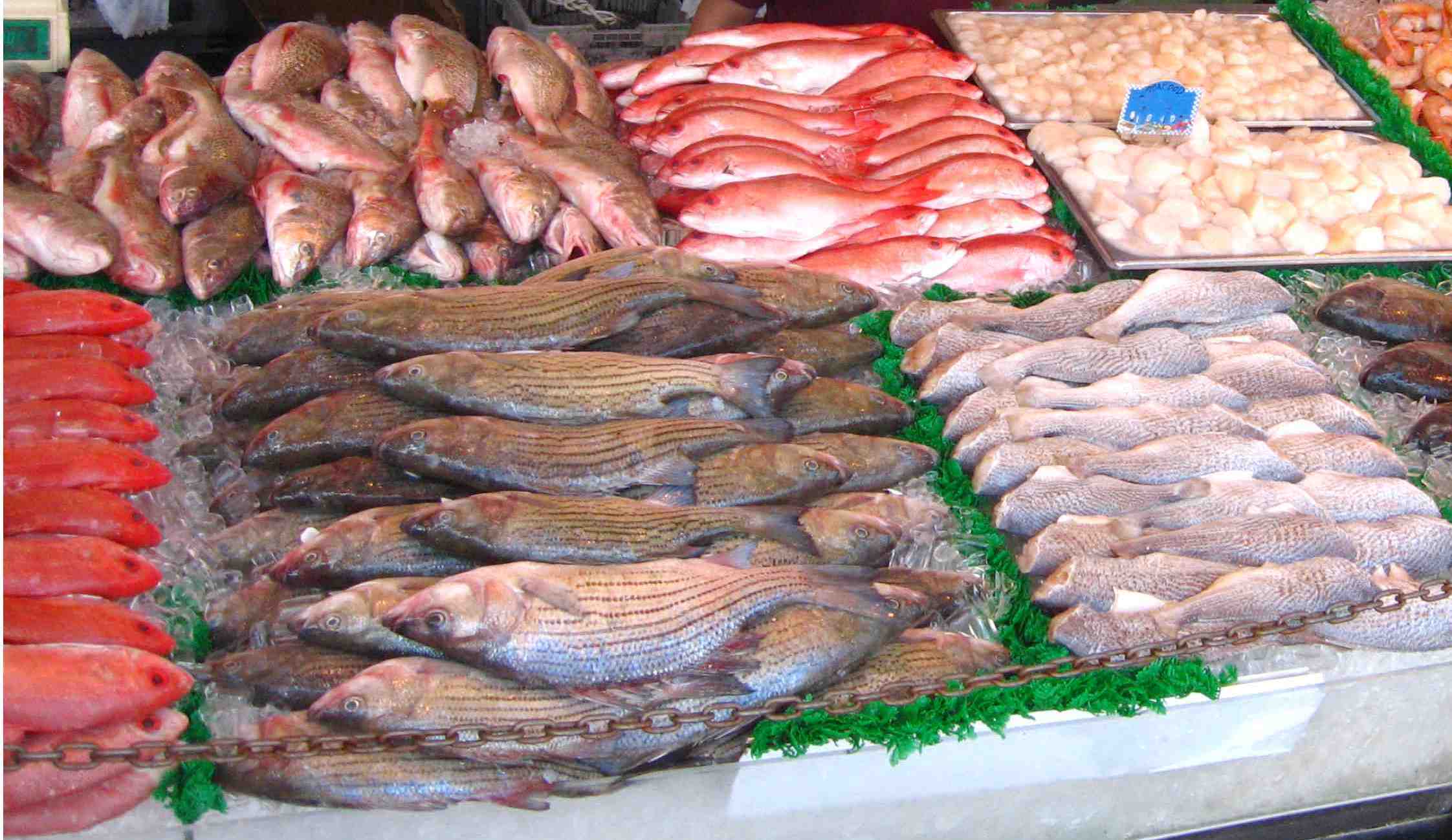 Ventas de pescados y mariscos caen en la cuaresma del mercado Benito Juárez: Locatarios enfrentan retos por el aumento del ambulantaje y la competencia de supermercados