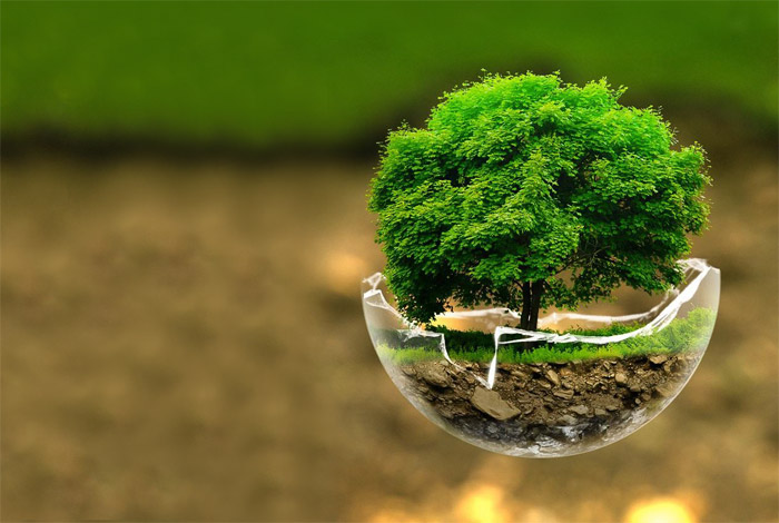 Tlaxiaco Celebra el Día Mundial de la Madre Tierra con Jornada de Mantenimiento en el Espacio Verde “El Colorín”